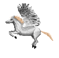 Immagine 10 Unicorno