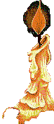 Gif 29