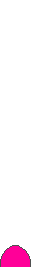 Gif 41