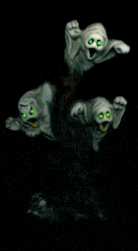 Gif 03