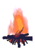 Gif 41
