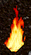 Gif 42