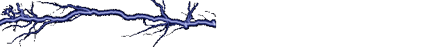 Gif 08