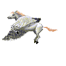 Gif 87