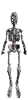 Gif 01