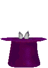 Gif 24