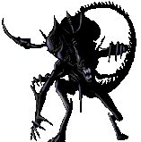 Gif 18