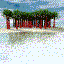 Gif 08