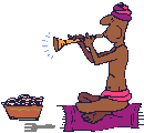 Gif 05