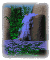 Gif 02