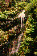 Gif 07