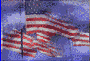 Gif 19
