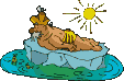 Gif 03