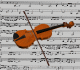 Immagine 03 Violini