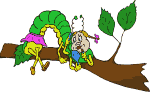 Gif 05