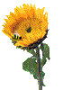 Gif 01