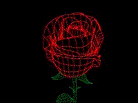 Gif 04