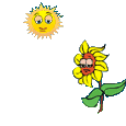 Gif 05