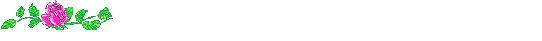 Gif 100