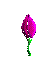 Gif 147