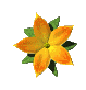 Gif 150