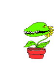 Gif 152