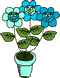 Gif 207