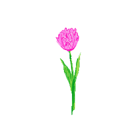 Gif 231