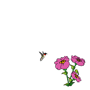 Gif 30