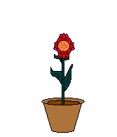 Gif 33