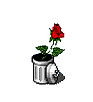 Gif 336636