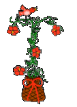 Gif 40