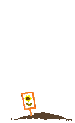 Gif 41