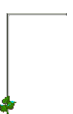 Gif 50
