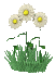 Gif 59