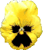 Gif 68