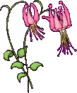 Gif 70