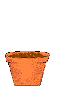 Gif 89