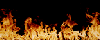 Gif 07