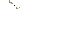 Gif 05