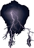 Gif 19