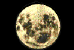 Gif 22