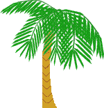 Gif 03