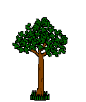 Gif 30