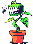 Gif 01