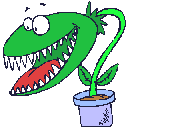 Gif 03