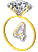 Gif 4