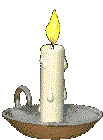 Gif 19