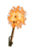 Gif 08