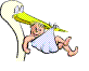 Gif 02